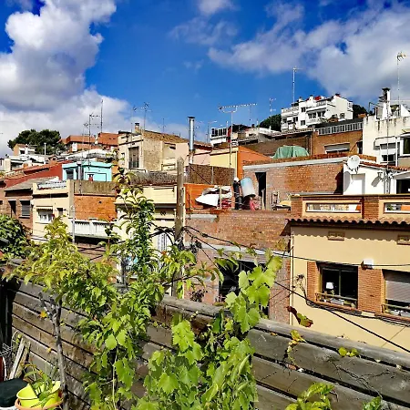 Santa Rosa